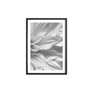 White Petals -Bild mit Holzrahmen 50x70 cm