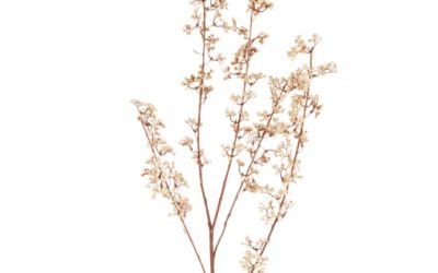 Künstlicher Pflanzenstiel, beige H87